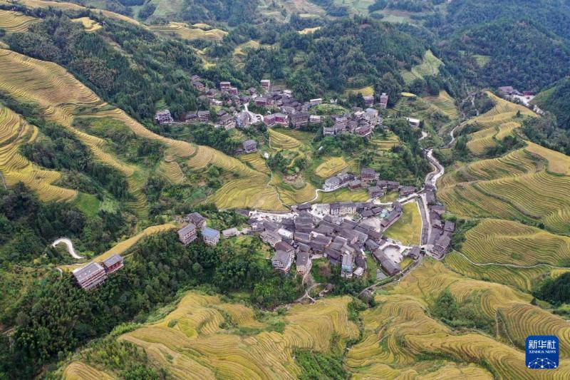 广西龙胜：金秋梯田美如画
