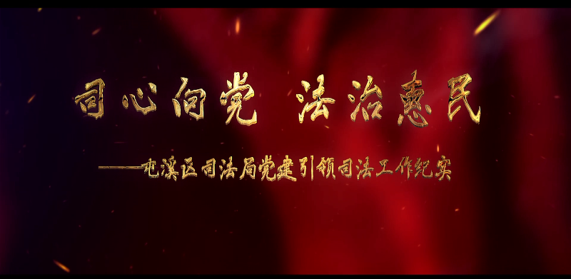 司心向党 法治惠民